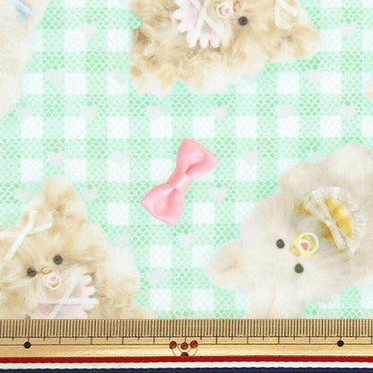 织物 "Imadokikids 剪布 大约45厘米x 100厘米蓬松的婴儿丝带绿色IMAF-22C-G" KIYOHARA