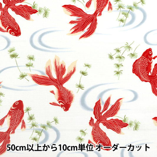 【数量5から】 生地 『ドビー 和柄 金魚 オフ 1025-1100-2A』