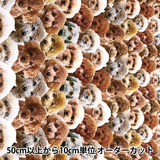 [From quantity 5] Fabric 『SheetingInk Jet Print Toy Poodle KOM-004"