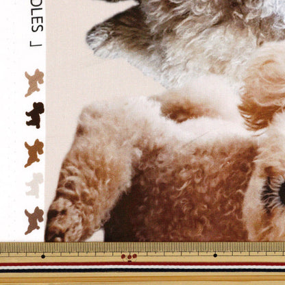 [From quantity 5] Fabric 『SheetingInk Jet Print Toy Poodle KOM-004"