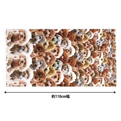 [From quantity 5] Fabric 『SheetingInk Jet Print Toy Poodle KOM-004"