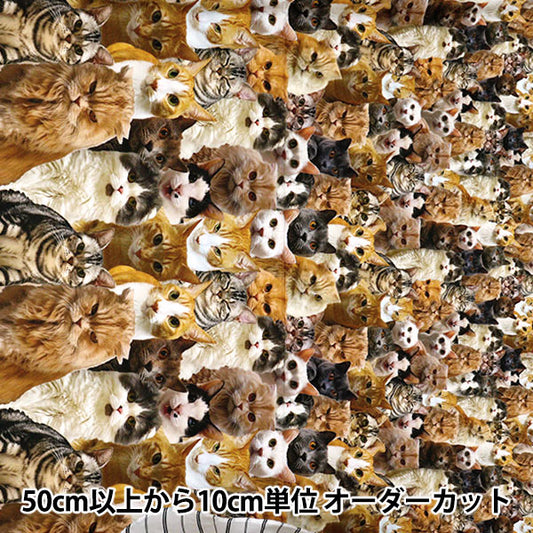[Quantity starting from 5] Fabric 『Sheeting Inkjet Print Cat KOM-012"