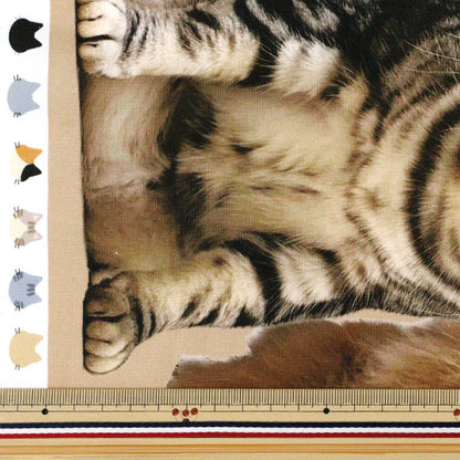 [Quantity starting from 5] Fabric 『Sheeting Inkjet Print Cat KOM-012"