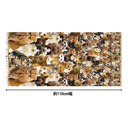 [Quantity starting from 5] Fabric 『Sheeting Inkjet Print Cat KOM-012"