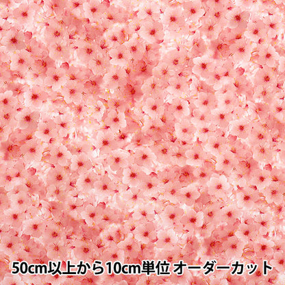 [Quantity starting from 5] Fabric 『Sheeting Inkjet Print Sakura KOM-013"