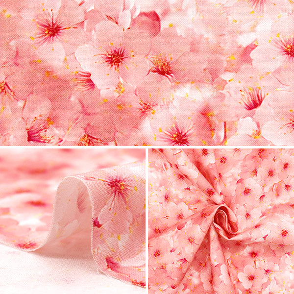 [Quantity starting from 5] Fabric 『Sheeting Inkjet Print Sakura KOM-013"
