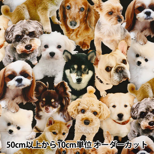 【数量5から】 生地 『シーチング インクジェットプリント ドックズ KOM-016』