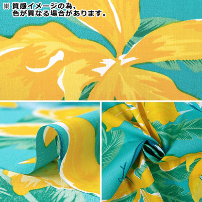 [Quantity starting from 5] Fabric "Mauna Loa TC Hawaiian Print Cattleya Black x Pink ZK000370"