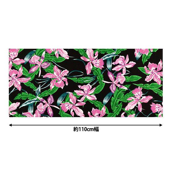 [Quantity starting from 5] Fabric "Mauna Loa TC Hawaiian Print Cattleya Black x Pink ZK000370"