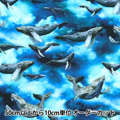 [Quantity starting from 5] Fabric "Digital Print Minsui Whale Mingswim011"