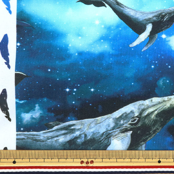 [Quantity starting from 5] Fabric "Digital Print Minsui Whale Mingswim011"