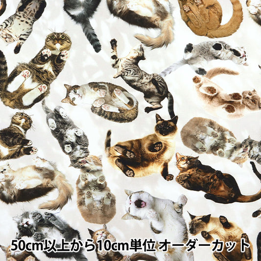 [Quantity starting from 5] Fabric "Digital Print Minsui Cat Mingswim012"