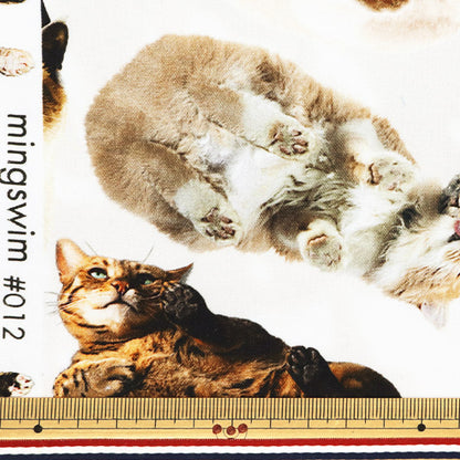 [Quantity starting from 5] Fabric "Digital Print Minsui Cat Mingswim012"