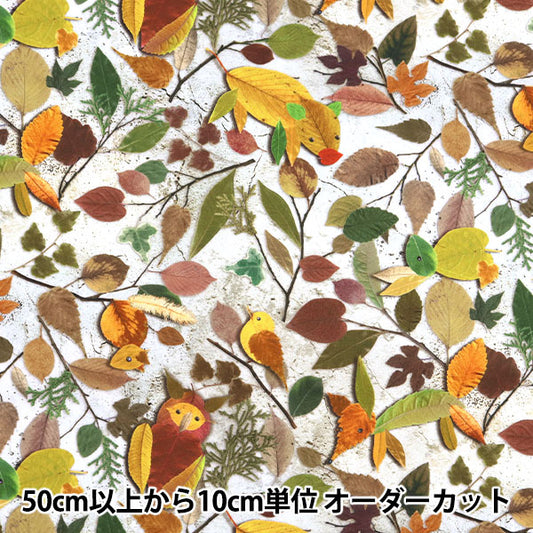 [Quantity starting from 5] Fabric "Digital Print: The Story of the Kirara Forest RR2018"