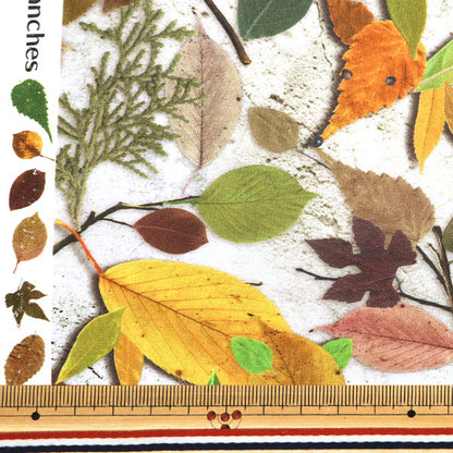[Quantity starting from 5] Fabric "Digital Print: The Story of the Kirara Forest RR2018"
