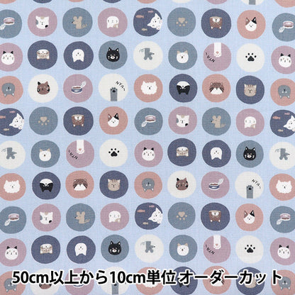 [Quantity starting from 5] Fabric 『Sheeting Nuance Kids Cat Circle Blue COCO-2024-1C"
