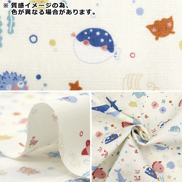 [数量从5开始] 织物 『板材织物 Nuance Kids Fish海军Coco-2024-4e"