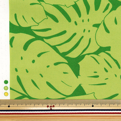 [Quantity starting from 5] Fabric "TC Hawaiian Print Border Green 205003-217"