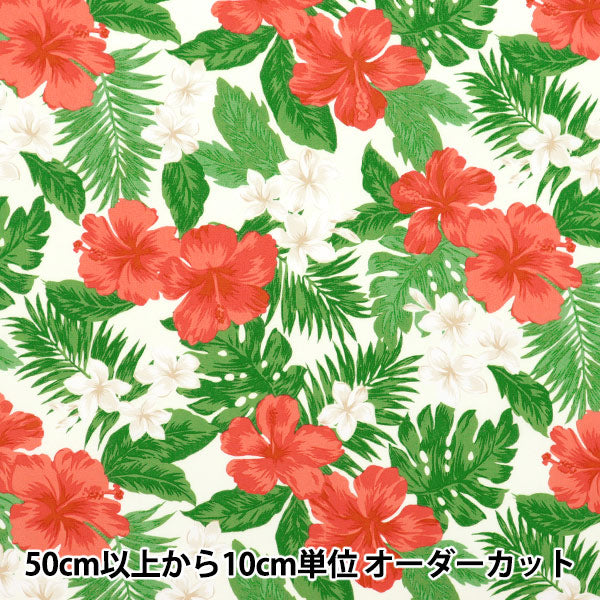 [Quantity starting from 5] Fabric "TC Hawaiian Print Hibiscus Off x Red R9008-2F"