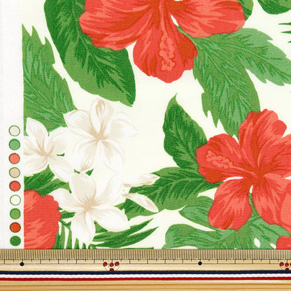 [Quantity starting from 5] Fabric "TC Hawaiian Print Hibiscus Off x Red R9008-2F"