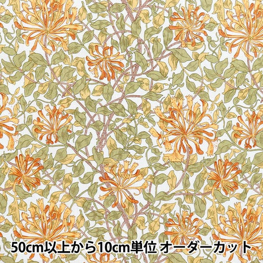 [数量从5开始] 织物 "Moda Best Morris 板材织物 金银花浅蓝色8362-50"