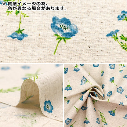 [Quantity starting from 5] Fabric "mOmen-t Moment Cotton Linen Sofrey Nemophila All-over Charcoal 144-8050-E4CH" 【Yuzawayaoriginal】