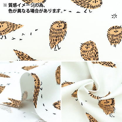 [Quantity starting from 5] Fabric "kippis Oxford Arctic Owl Green KPO-87C"