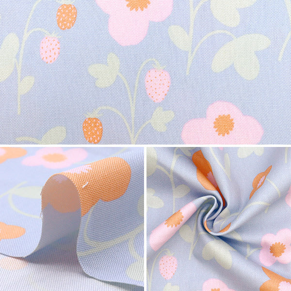 [Quantity starting from 5] Fabric "kippis Oxford Maruyatta Blue Green KPO-88A"