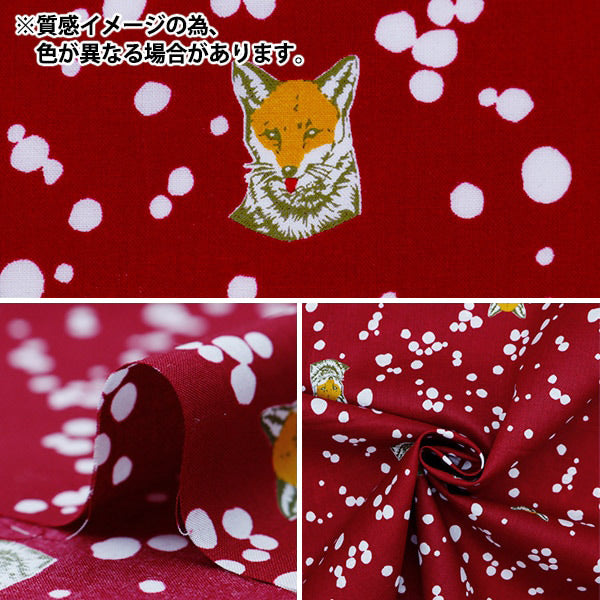 [Quantity starting from 5] Fabric "echino Lawn Fox Navy EKX98070-71B" KOKKA