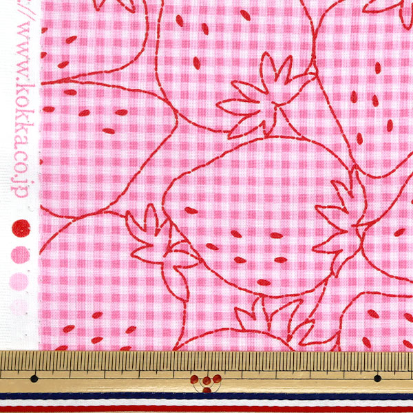 [Quantity starting from 5] Fabric 『Sheeting Super water-repellent PICNIK embroidery style gingham pattern, color B YPA-51020-1B" KOKKA