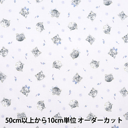 [From quantity 5] Fabric "Nova Sheeting Feminine Cat Blue NSE-CAT-BL" KOKKA 【Yuzawayaoriginal】