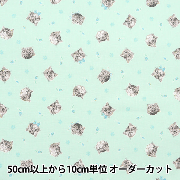 [From quantity 5] Fabric "Nova Sheeting Feminine Cat Green NSE-CAT-GR" KOKKA 【Yuzawayaoriginal】