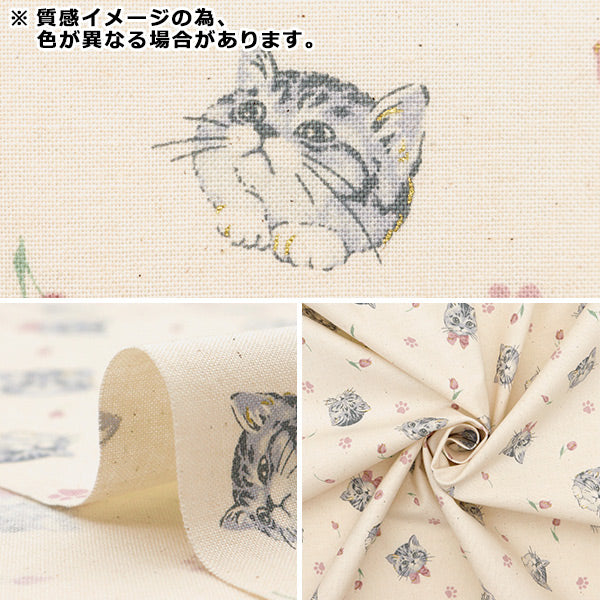[来自数量5] 织物 "诺瓦 板材织物 女性猫粉红色nse-cat-pi" KOKKA 【Yuzawaya原来的】
