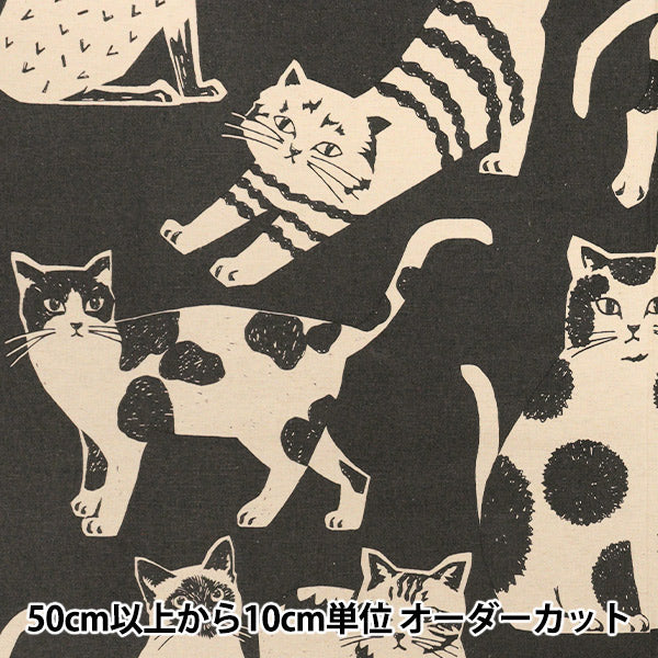 [Quantity starting from 5] Fabric "echino NekoNoe CAT CAT Cotton Linen Canvas Charcoal Gray EYX-91000-101B" KOKKA
