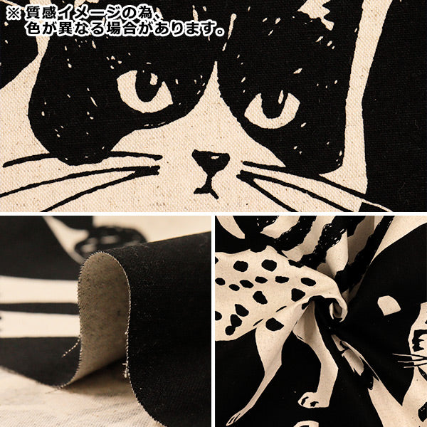 [Quantity starting from 5] Fabric "echino NekoNoe CAT CAT Cotton Linen Canvas Charcoal Gray EYX-91000-101B" KOKKA