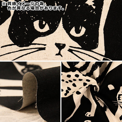 [Quantity starting from 5] Fabric "echino NekoNoe CAT CAT Cotton Linen Canvas Charcoal Gray EYX-91000-101B" KOKKA