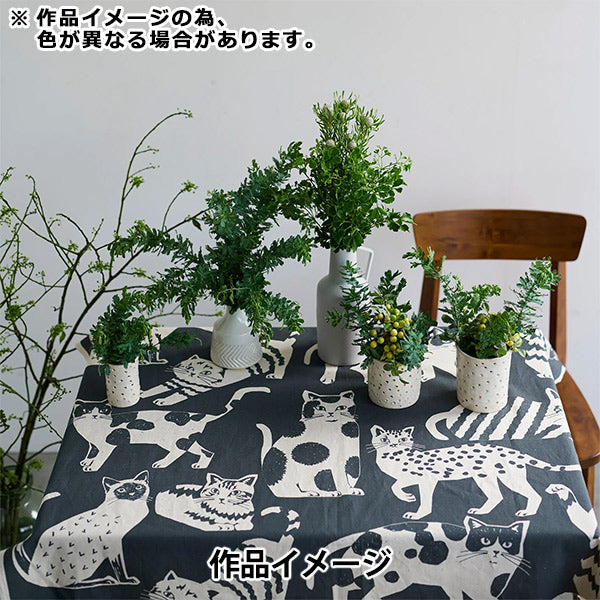 [Quantity starting from 5] Fabric "echino NekoNoe CAT CAT Cotton Linen Canvas Charcoal Gray EYX-91000-101B" KOKKA