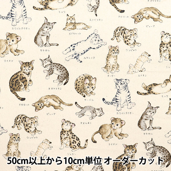 [Quantity starting from 5] Fabric 『Oxford Encyclopedia series Cat-city YPA-61000-1A" KOKKA