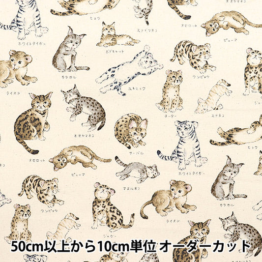 [Quantity starting from 5] Fabric 『Oxford Encyclopedia series Cat-city YPA-61000-1A" KOKKA