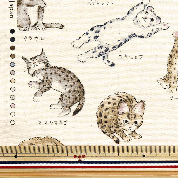 [Quantity starting from 5] Fabric 『Oxford Encyclopedia series Cat-city YPA-61000-1A" KOKKA