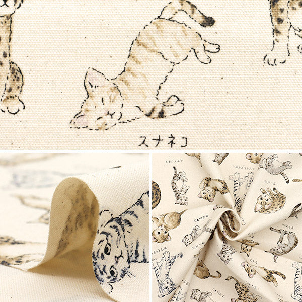 [Quantity starting from 5] Fabric 『Oxford Encyclopedia series Cat-city YPA-61000-1A" KOKKA