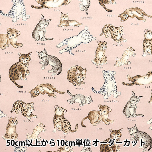 [Quantity starting from 5] Fabric 『Oxford Encyclopedia series Cat-city YPA-61000-1B" KOKKA
