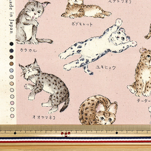 [Quantity starting from 5] Fabric 『Oxford Encyclopedia series Cat-city YPA-61000-1B" KOKKA