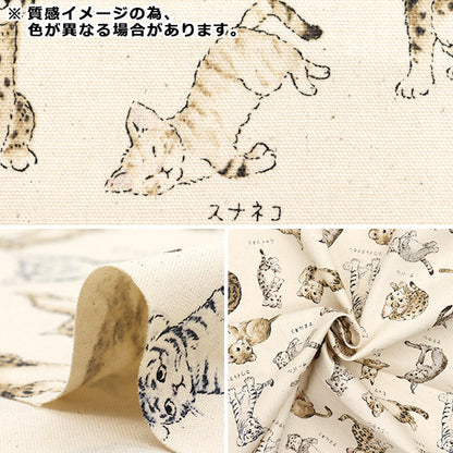 [Quantity starting from 5] Fabric 『Oxford Encyclopedia series Cat-city YPA-61000-1B" KOKKA