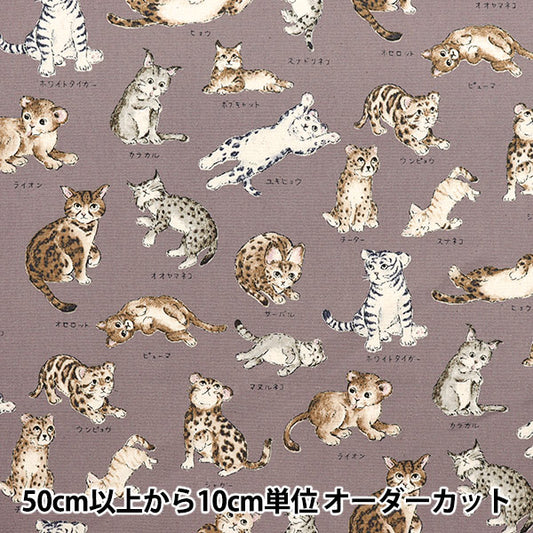 [Quantity starting from 5] Fabric 『Oxford Encyclopedia series Cat-city YPA-61000-1C" KOKKA