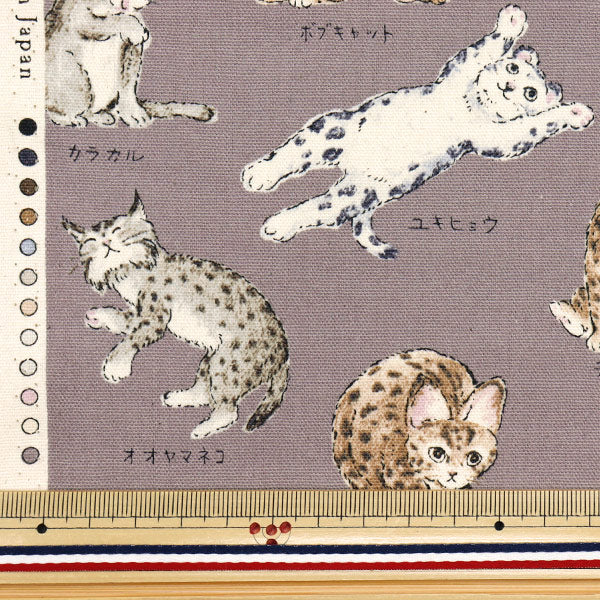 [Quantity starting from 5] Fabric 『Oxford Encyclopedia series Cat-city YPA-61000-1C" KOKKA
