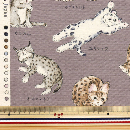 [Quantity starting from 5] Fabric 『Oxford Encyclopedia series Cat-city YPA-61000-1C" KOKKA