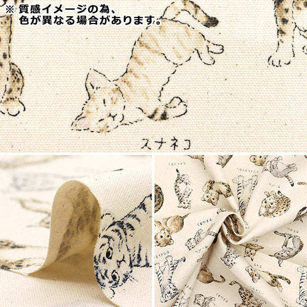 [Quantity starting from 5] Fabric 『Oxford Encyclopedia series Cat-city YPA-61000-1C" KOKKA