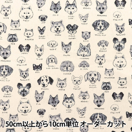 [Quantity starting from 5] Fabric 『Oxford Illustrated Book Series Dogs YPA-61000-2B" KOKKA