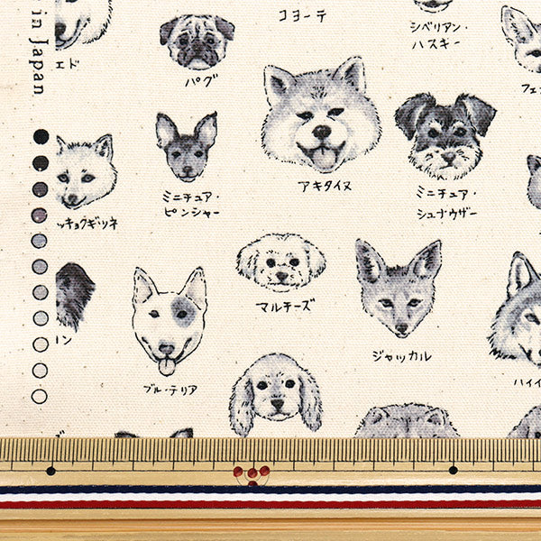 [Quantity starting from 5] Fabric 『Oxford Illustrated Book Series Dogs YPA-61000-2B" KOKKA